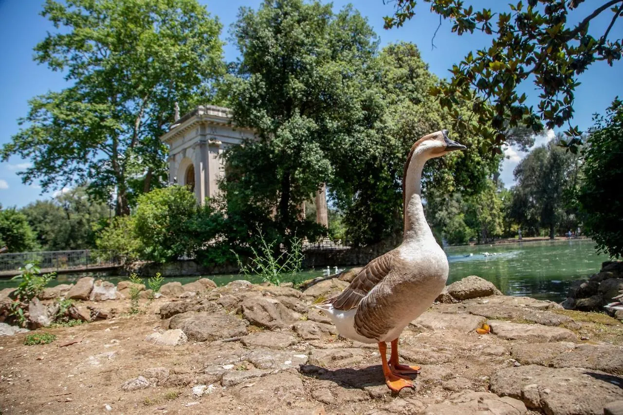 Stay Inn Rome Via Del Corso Πανσιόν